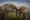 When Elephants Play: A Dramatic Moment in Amboseli